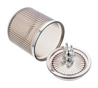 BESPORTBLE Pot de Rangement Transparent Multifonction pour Cotons-tiges et Boules de Coton, Bocal Décoratif en Acrylique Argenté Couvercle Hermétique, Compact pour Salle de Bain