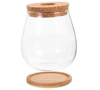 BESPORTBLE Récipient Verre pour Terrarium Bouteille pour Plantes Contenant pour Paysage Décoration De Table Bouteille Vide Verre Écologique pour Micro-Paysage Transparente