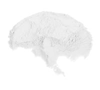 BESPORTBLE Sable Décoratif pour Encensoir Poudre Fine Blanche pour Cérémonie Remplissage Polyvalent pour Brûleur Vase et Aquarium Accessoire Essentiel pour Pratiques Encens et Décoration