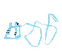 BESPORTBLE Sangle De Traction pour Animaux De Compagnie Laisse De Lapin Harnais De Lapin Et Laisse pour Lapins Trucs De Lapin Animal De Compagnie Sangle De Traction Lapin