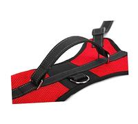 BESPORTBLE Selle en Maille pour Chiens De Taille Moyenne À Confortable pour La Promenade avec Boucle À Dégagement Rapide
