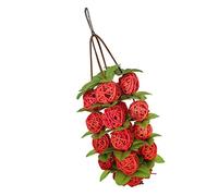 BESPORTBLE String De Jouet pour Perroquet Rattan Jouet à Mâcher Suspendu pour Oiseaux Accessoires Ludiques pour Animaux De Compagnie pour Perroquets Et Perruches