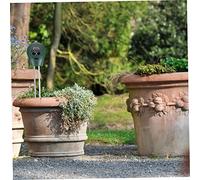 BESPORTBLE Testeur sans Pile pour Jardinage Mesure Ph Humidité et Lumière Analyseur pour Plantes Pot et Potager Outil Pratique pour