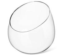 BESPORTBLE Vase Verre Transparent Rond pour Plantes Intérieur Design Incliné Unique pour Mousses et Décor Naturel de Maison