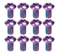 BESPORTBLE Vis de Plaquette de Frein en Acier Titane M5X10Mm Boîte de 12 Pièces Violettes Vis Solide Compatibles VTT Vélo Électrique Route et BMX Fixation Disque Frein Haute Résistance