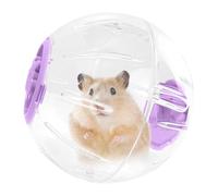 Besreey Balle d'exercice pour hamster - Boule d'exercice pour hamster - Jouet de course - Non glissant