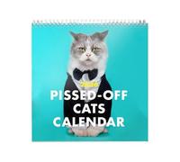 Besreey Calendrier mural 2026 - 12 mois - Motif chats de colère - Accessoire de bureau décoratif pour salon, bureau, chambre d'étudiant, salle de classe, bureau, tableau d'affichage, événement, voyage