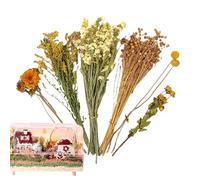 Besreey Litière de Fleurs de Foin pour Hamster - Litière de Fleurs d'animaux - Décoration d'habitat - Literie Florale Naturelle pour Chinchillas, écureuils
