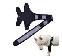 Besreey Manchon de Jambe pour Chien | Soutien arrière pour Le Soin du Genou et des Hanches, attelle de Jambe pour Chien déchiré LCA, genouillère étouffée pour Chiens de Petite et Moyenne Taille