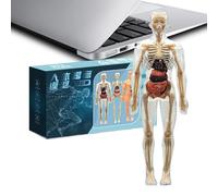 Besreey Modèle de Squelette du Corps Humain,Kits de Modèle Anatomique 3D du Squelette Humain | Jouets Éducatifs pour Bibliothèque, École à la Maison, Salle de Classe, Primaire, Activités