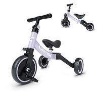 besrey 5 en 1 Tricycle Vélo Enfant,Tricycle bébé évolutif 1-4 Ans,Vélo Draisienne,Vélo sans Pédale