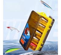 Besshepplo Lot de 24 leurres de pêche avec boîte de rangement double face pour bar de mer, brochet à tête de serpent, brochet, mandarine, poisson 10 g, plaque de fer 10 g suspendue, 10 g, flottant