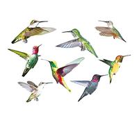 Bessy shop Autocollant de Oiseaux,9PCS Autocollants muraux pour fenêtre de Colibri, Autocollants Anti-Collision pour fenêtre de Colibri pour décoration Murale de Bureau et de fenêtre