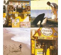 Best Coast - Something in The Way [Import]