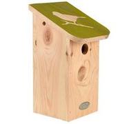 Nichoir pour mésange bleue en pin pochoir Vert