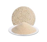 Best For Home Sable de Gazon 25kg Sable de Quartz pour Pelouses Amplificateur de Racines Destructeur de Sol Remplissage des cavités et Amélioration du Sol (0,4-0,9mm) Idéal pour l'entretien de la