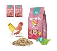 Best Friend Aliment Complet pour canaris avec Rave, graines de fenouil et laitue - Lot de 2 Paquets - Aliments pour Oiseaux avec ingrédients naturels - Qualité 100% fabriquée en Italie