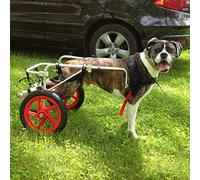 Best Friend Mobility Fauteuil Roulant pour Chien, Taille L (27,2 à 45,4 kg)