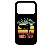 Best Glamma Since Ever Hero Super Grandma Birthday Mothers Coque pour iPhone 17 Pro