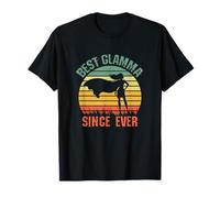 Best Glamma Since Ever Hero Super Grandma Birthday Mothers T-Shirt