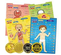 BEST LEARNING i-Poster Mon Corps - Jeu éducatif interactif sur l'anatomie Humaine Jouet pour Apprendre Les Parties du Corps, Les Organes, Les Muscles et Les os pour Enfants [Langue du Jeu : Anglais]