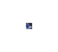 Johnny Winter – Best of