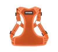 Best Pet Supplies Voyager by Harnais en Maille entièrement réglable avec Passepoil réfléchissant 3M Orange (Bordure Assortie), XS