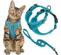 Best Pet Supplies Voyager Ensemble harnais et laisse anti-fugue avec coutures réfléchissantes, poignée néoprène, 1,5 m, pour chats de petite, moyenne et grande taille, turquoise, taille S