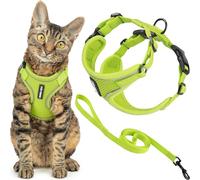 Best Pet Supplies Voyager Ensemble harnais et laisse anti-fugue avec coutures réfléchissantes, poignée néoprène, 1,5 m, pour chats de petite, moyenne et grande taille, citron vert, taille XS