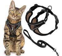 Best Pet Supplies Voyager Ensemble harnais et laisse anti-fugue pour chat avec coutures réfléchissantes, poignée en néoprène 1,5 m - Convient aux chats, chatons de petite, moyenne et grande taille,
