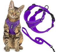 Best Pet Supplies Voyager Ensemble harnais et laisse anti-fugue pour chat avec coutures réfléchissantes, poignée en néoprène de 1,5 m - Convient aux chats, chatons de petite, moyenne et grande taille,