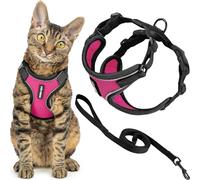 Best Pet Supplies Voyager Ensemble Harnais et Laisse Anti-Fugue pour Chat avec Coutures réfléchissantes, poignée en néoprène 1,5 m - Convient aux Chats, Chatons de Petite, Moyenne et Grande Taille -
