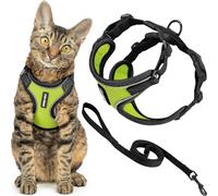 Best Pet Supplies Voyager Ensemble Harnais et Laisse Anti-Fugue pour Chat avec Coutures réfléchissantes, poignée en néoprène de 1,5 m - Convient aux Chats de Petite, Moyenne et Grande Taille, Chatons