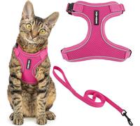 Best Pet Supplies Voyager Ensemble harnais et laisse anti-fugue pour chat avec coutures réfléchissantes, poignée néoprène, 1,5 m, pour chats de petite, moyenne et grande taille, fuchsia, taille S