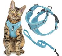 Best Pet Supplies Voyager Ensemble Harnais et Laisse Anti-Fugue pour Chat avec Coutures réfléchissantes, poignée en néoprène de 1,5 m - Convient aux Chats, Chatons de Petite, Moyenne et Grande Taille