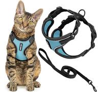 Best Pet Supplies Voyager Ensemble harnais et laisse anti-fugue pour chat avec coutures réfléchissantes, poignée néoprène, 1,5 m, pour chats de petite, moyenne et grande taille, BT bleu clair, S