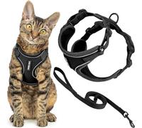 Best Pet Supplies Voyager Ensemble Harnais et Laisse Anti-Fugue pour Chat avec Coutures réfléchissantes, poignée en néoprène de 1,5 m, Convient pour Les Chats, Chatons et Chatons, Noir, Taille XXS