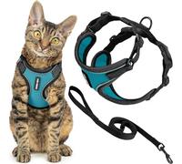 Best Pet Supplies Voyager Ensemble harnais et laisse anti-fugue pour chat avec coutures réfléchissantes, poignée en néoprène de 1,5 m - Convient aux chats, chatons de petite, moyenne et grande taille,