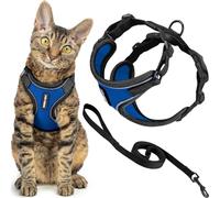 Best Pet Supplies Voyager Ensemble harnais et laisse anti-fugue pour chat avec coutures réfléchissantes, poignée en néoprène de 1,5 m - Convient pour les chats de petite, moyenne et grande taille,