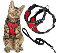 Best Pet Supplies Voyager Ensemble Harnais et Laisse Anti-Fugue pour Chat avec Coutures réfléchissantes, poignée en néoprène de 1,5 m, Convient aux Chats, Chatons de Petite, Moyenne et Grande Taille,