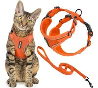 Best Pet Supplies Voyager Ensemble harnais et laisse anti-fugue pour chat avec coutures réfléchissantes, poignée en néoprène de 1,5 m - Convient aux chats, chatons de petite, moyenne et grande taille,