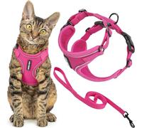Best Pet Supplies Voyager Ensemble harnais et laisse anti-fuite pour chat avec coutures réfléchissantes, poignée en néoprène 1,5 m - Convient aux chats, petits, moyens et grands chatons - Fuchsia, M