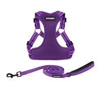 Best Pet Supplies Voyager Ensemble harnais réglable pour chien avec bandes réfléchissantes pour la marche, gilet intégral anti-traction avec anneau en D pour laisse, respirant, toutes saisons, violet,