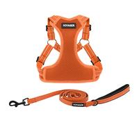 Best Pet Supplies Voyager Ensemble Harnais réglable pour Chien avec Bandes réfléchissantes pour la Marche, Gilet intégral Anti-Traction avec Anneau en D, Respirant Toutes Saisons, Harnais (Orange),