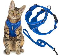 Best Pet Supplies Voyager Harnais et laisse anti-fugue avec coutures réfléchissantes, poignée néoprène, 1,5 m, pour chats de petite, moyenne et grande taille, bleu roi, M, poitrine : 41,9-49,5 cm.