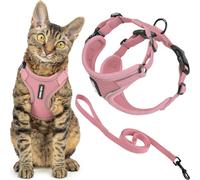 Best Pet Supplies Voyager Ensemble harnais et laisse anti-fuite pour chat avec coutures réfléchissantes, poignée en néoprène 1,5 m - Convient aux chats, petits, moyens et grands chats, chatons, rose
