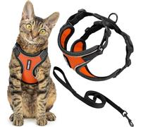 Best Pet Supplies Voyager Harnais et laisse anti-fugue pour chat avec coutures réfléchissantes, poignée néoprène, 1,5 m, pour chats de petite, moyenne et grande taille, orange à bordure noir, XS