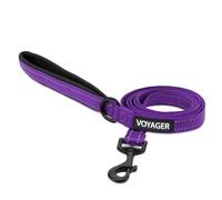 Best Pet Supplies Voyager Laisse ou Collier réfléchissant avec poignée en néoprène pour Chiots de Petite, Moyenne et Grande Race, Mignon et Robuste pour la Marche, la Course et Le Dressage - Violet