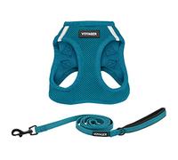 Best Pet Supplies Voyager Step-in Air - Harnais en Maille résistante aux intempéries pour Chats de Petite et Moyenne Taille - Ensemble (Turquoise), Taille XXS