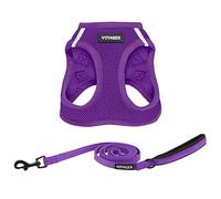Best Pet Supplies - Voyager Step-in Air - Harnais en Maille résistante aux intempéries pour Chats de Petite et Moyenne Taille - Ensemble Harnais et Laisse (Violet), Taille XXS